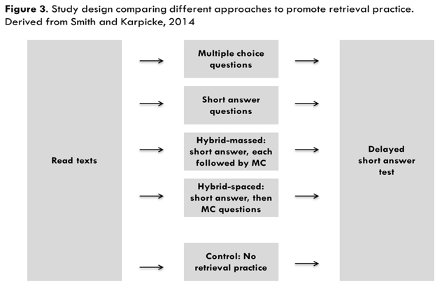 Figure 3. Study design comparing different approaches to promote retrieval. Derived from Smith and Karpicke, 2014.